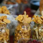 Mushroom and berry buyers have good news