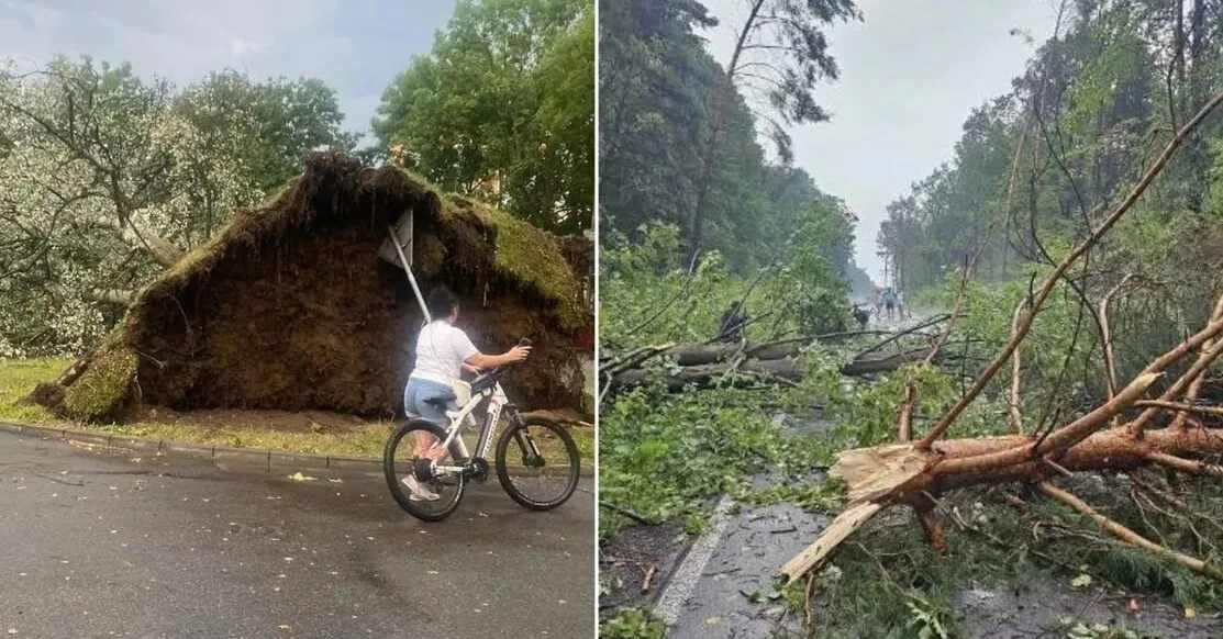 Audra showed no mercy to Lithuania's neighbor: it uprooted trees and tore off roofs
