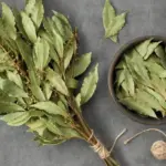 Put this spice in the fridge for an hour: the result will pleasantly surprise you