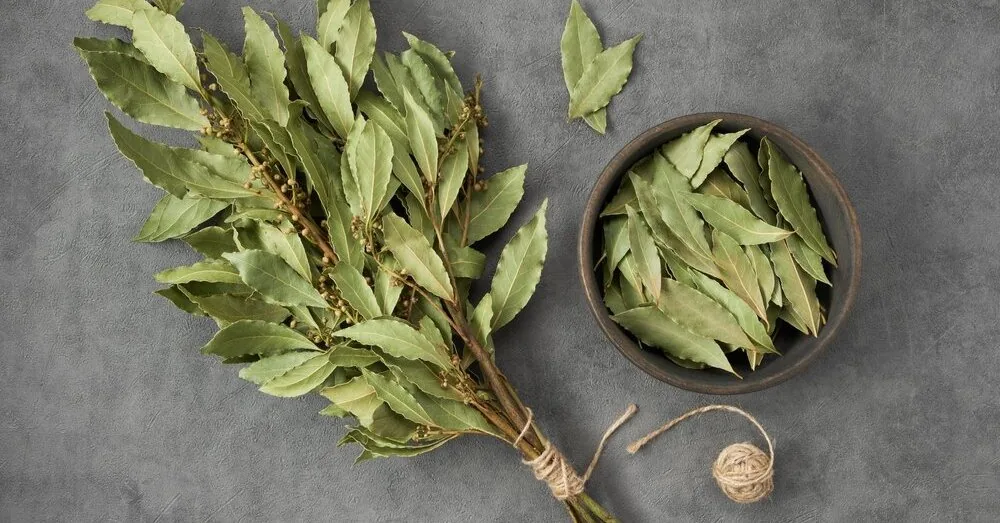 Put this spice in the fridge for an hour: the result will pleasantly surprise you