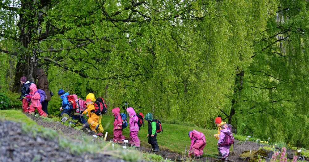 Paradox: queues in kindergartens have disappeared, but the reasons are not encouraging