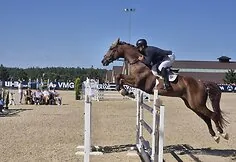 An open Lithuanian show jumping championship is taking place in Alytus district