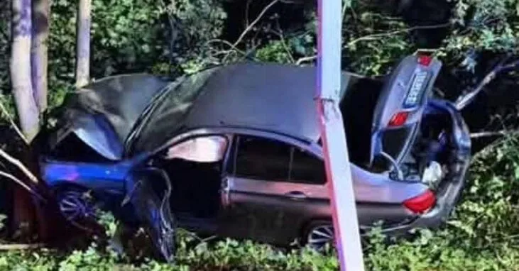 In Naujoji Vilnia BMW crashed into a pole and a tree: the driver was driving drunk