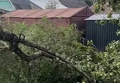 The storm devastated Gabrielis Liaudanskas-Svaras's homestead
