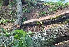 The Kernavė archaeological site was severely damaged during the storm