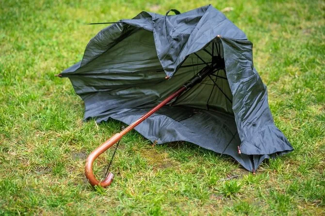 Shutterstock photo/Broken umbrella