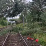 Huge forces for the liquidation of storm consequences on the railway: 1,600 passengers faced difficulties