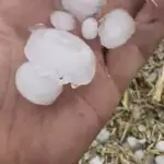 A natural hailstorm recorded in the Joniškis district: hailstones larger than 2 cm fell near the border with Latvia