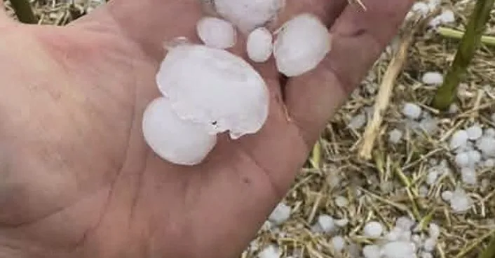 A natural hailstorm recorded in the Joniškis district: hailstones larger than 2 cm fell near the border with Latvia