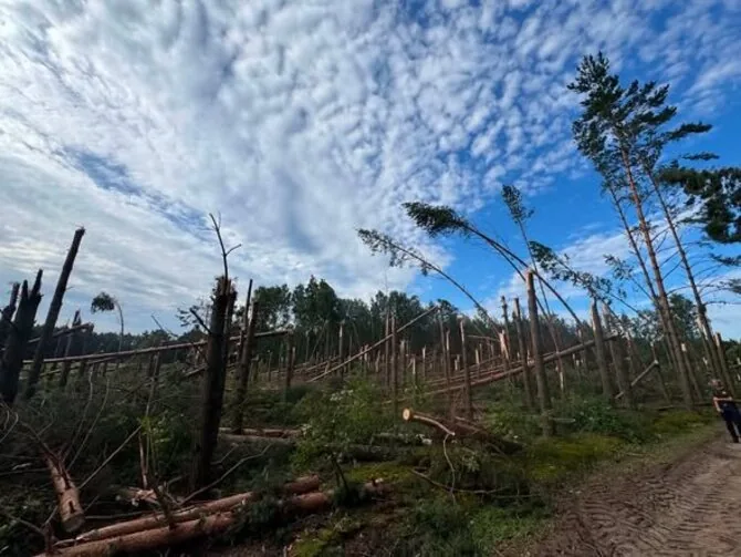Photo from R. Malinauskas’s Facebook profile/Storm aftermath in Druskininkai municipality