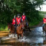 Distributed trophies to the participants of the endurance riding and driving championship