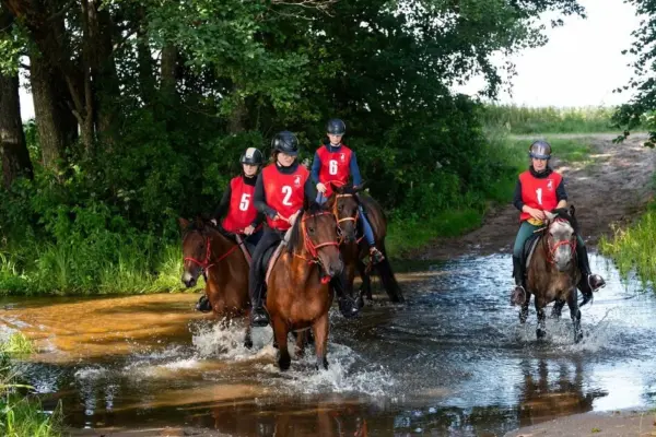 Distributed trophies to the participants of the endurance riding and driving championship