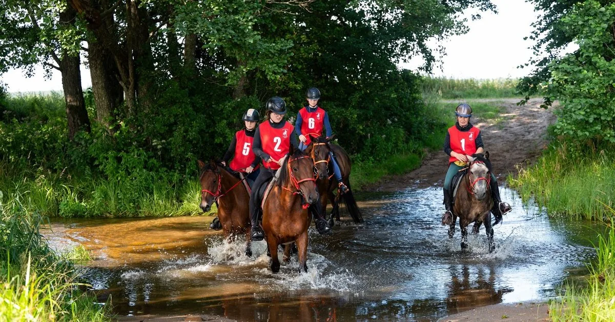 Distributed trophies to the participants of the endurance riding and driving championship