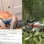 Shock to the occupants of the wrecked car: a fine for unsafe speed, because during the storm they stopped under a tree and it snapped