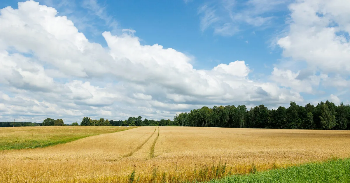Support for farmers due to increased fuel prices raised to nearly 20 million euros