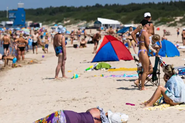 "Find someone to cover for you during vacation yourself": lawyer responded whether the employer can demand this