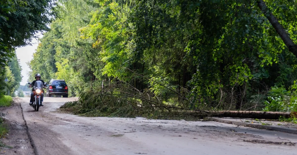 Why didn't Vilnius residents receive a phone alert about the approaching storm?
