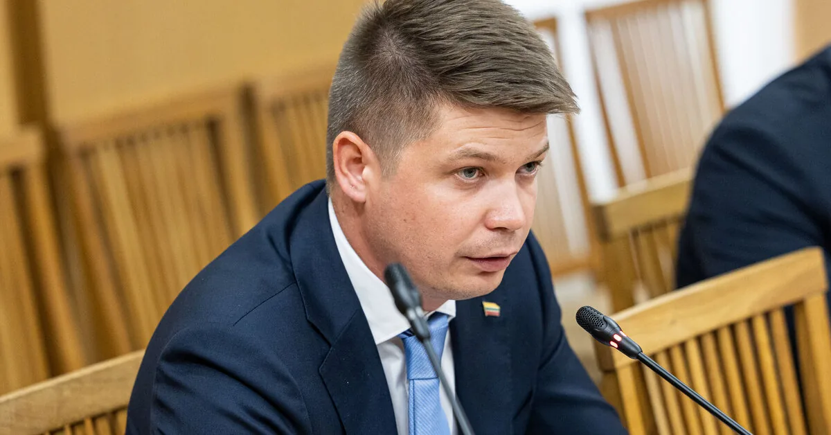 Martynas Katelynas, discussing events in Seut with EU colleagues: without a strong border, there will be no safe Europe