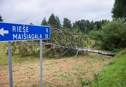 Consequences after a strong storm in Vilnius