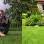 One single mistake when mowing the lawn can "sow" an infection: not all gardeners know about this