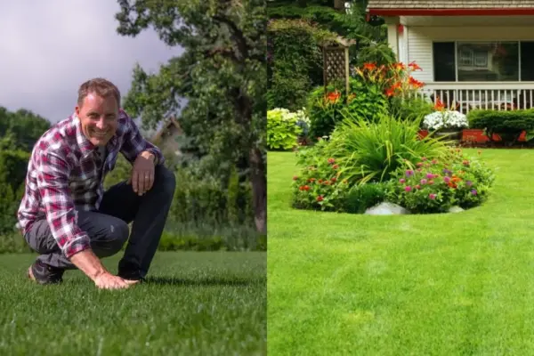 One single mistake when mowing the lawn can "sow" an infection: not all gardeners know about this