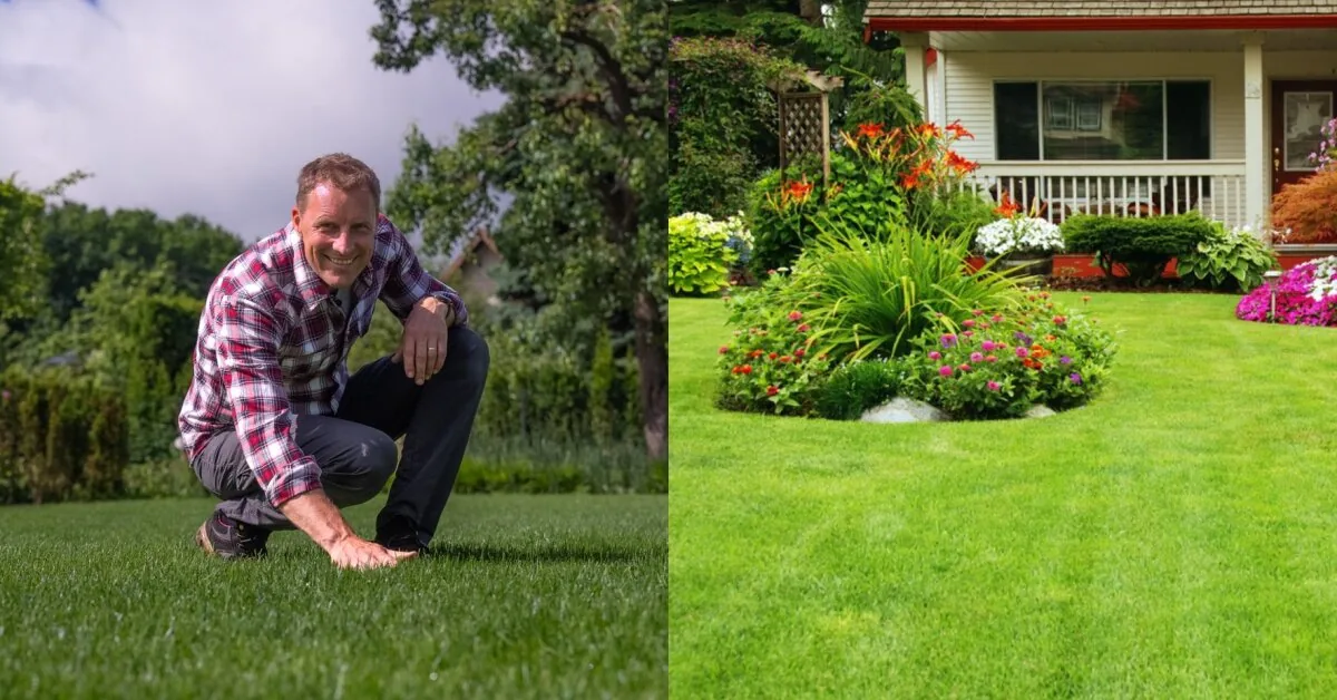 One single mistake when mowing the lawn can "sow" an infection: not all gardeners know about this