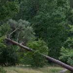 Almost 91 thousand users in Lithuania still do not have electricity