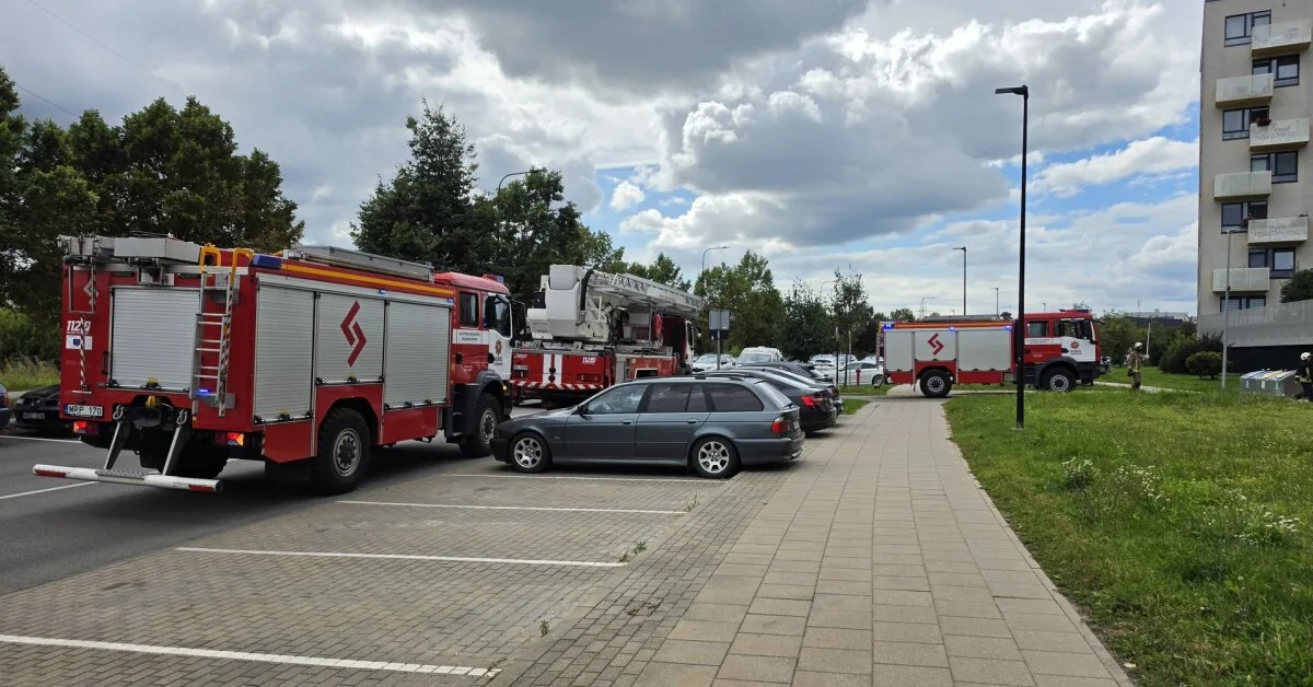 Three fire crews ensured that the Vilnius residents' dinner was burnt without major consequences