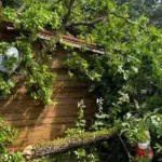 Expert warns: such a house may not be prepared for Lithuanian weather today