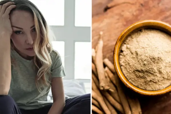 Social networks call them magical: what can ashwagandha and mushrooms really do?