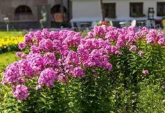 The coming days promise great weather: 5 reasons why it’s worth spending at least one of them at Pakruojis Manor