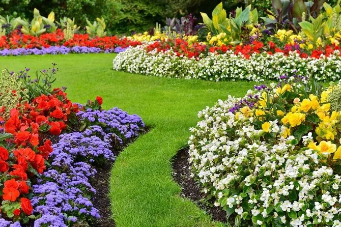Shutterstock photo/Lawn