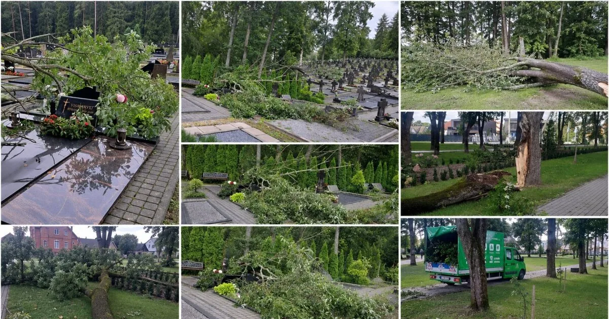 Cemeteries – a real chaos: specialists warn what residents must know about the storm's consequences