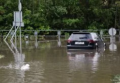 Consequences after a strong storm in Vilnius