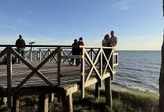 People watch the solar eclipse at the seaside.