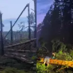 What storm hit Southern Lithuania: after scorching heat – thousands of lightning strikes and a powerful squall