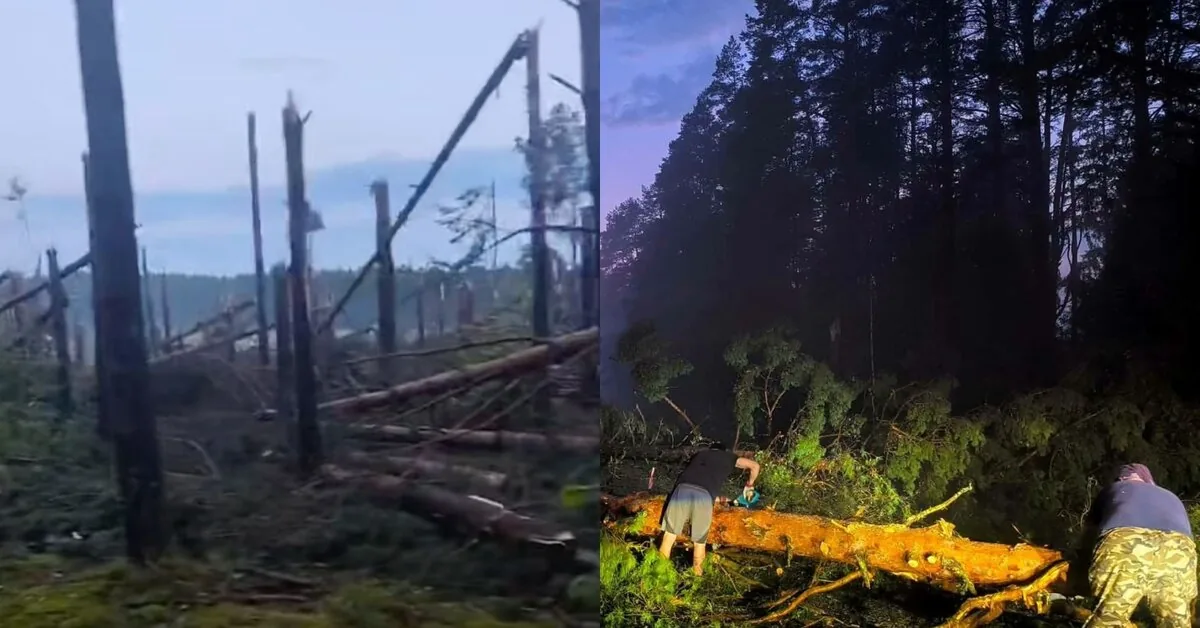 What storm hit Southern Lithuania: after scorching heat – thousands of lightning strikes and a powerful squall