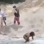Blood-curdling scene in Thailand: suddenly rising water swept away tourists