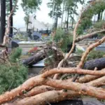After the weekend, the dangerous storm weather will only improve