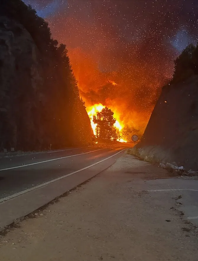 Vaido Arvasevičiaus asm. nuotr. / Gaisras Kroatijoje