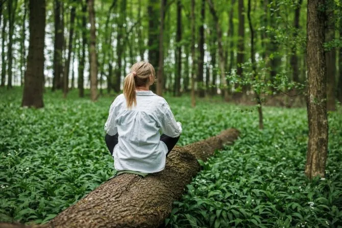 Shutterstock photo/Forest therapy