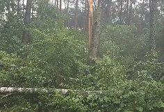 Storm near Leipalingis