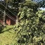 "Food spoiled, losses incurred": residents who spent more than a week without electricity sought solutions themselves