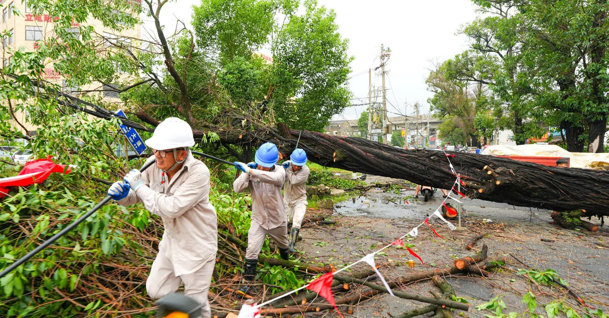 Typhoon "Dolphin" severely disrupted travel in East China