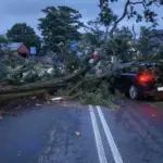 Storm lashes Poland: trees break, thousands left without power, camps evacuated