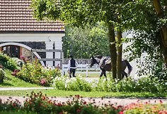 An elegant equestrian sport celebration at Pakruojis Manor: unbelievable, but everyone can join at the start