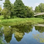 Water quality tested in Panevėžys district: where is it safe to swim?
