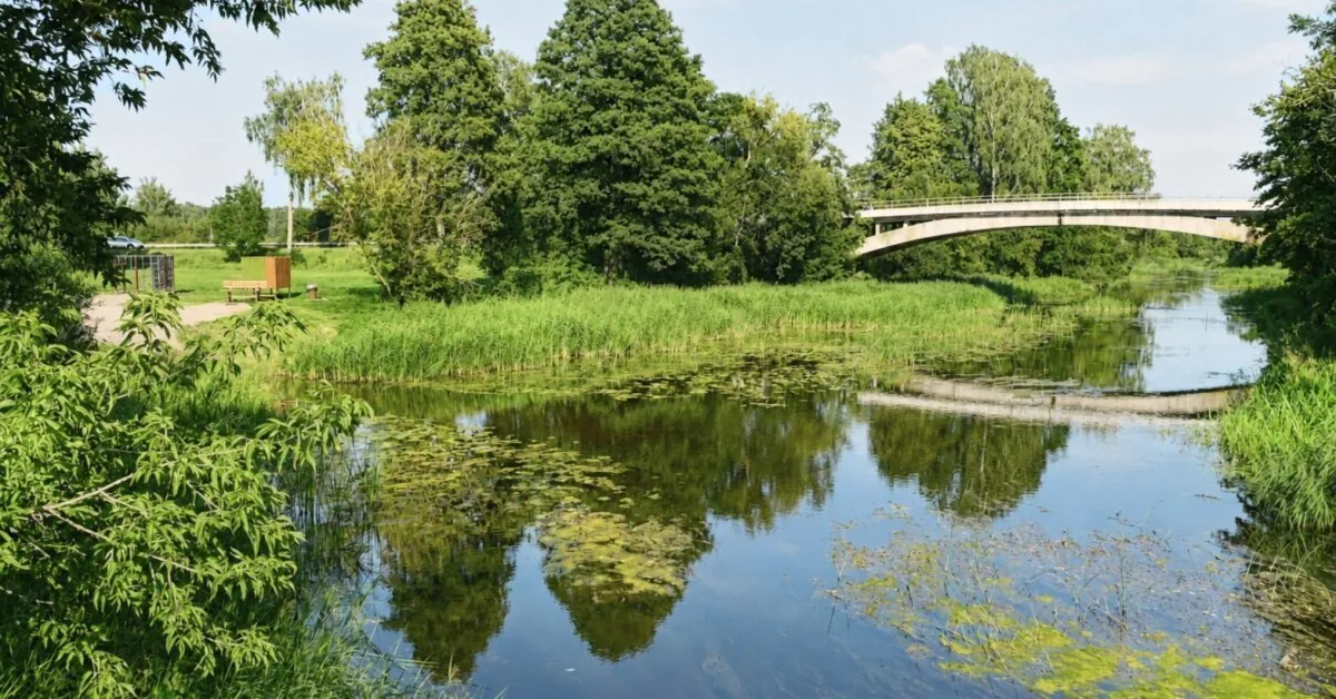 Water quality tested in Panevėžys district: where is it safe to swim?