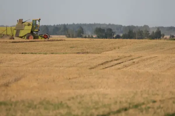 The Competition Council decided not to investigate grain drying pricing