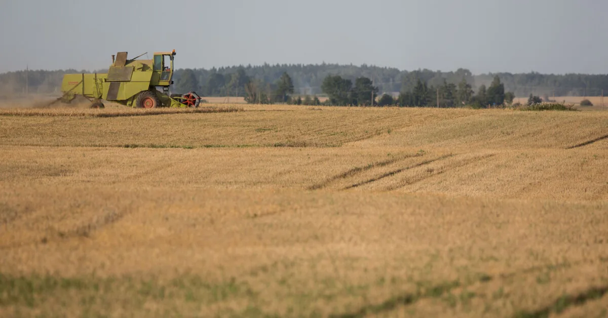 The Competition Council decided not to investigate grain drying pricing